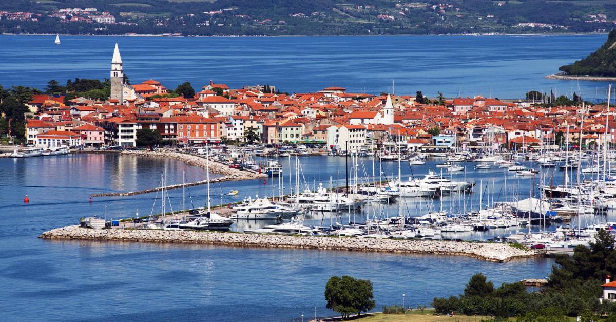 Villa Dolce Amaro Izola Bagian luar foto