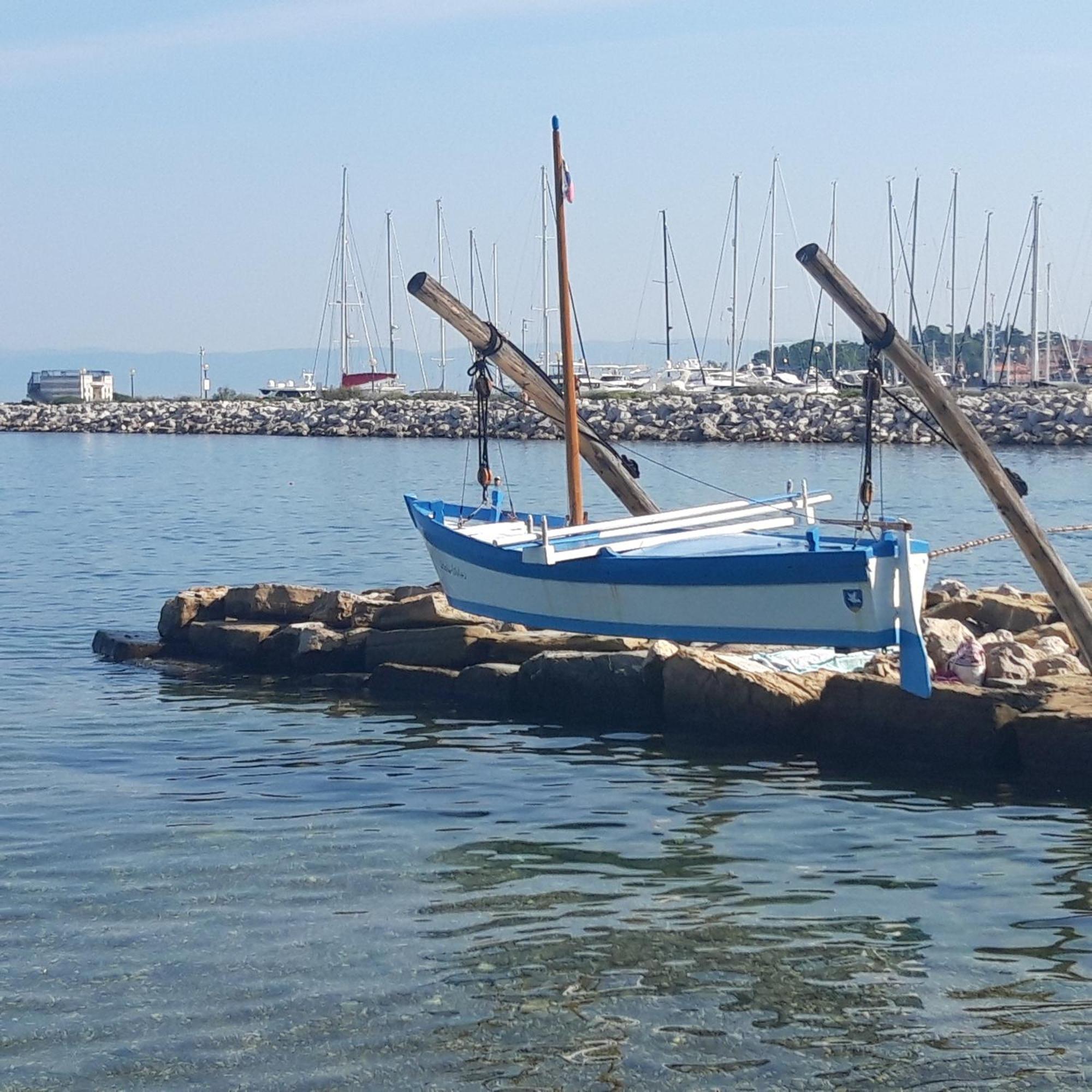 Villa Dolce Amaro Izola Bagian luar foto